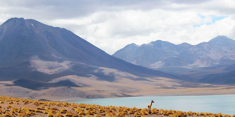 MD泵25：工业泵阀系统中的高效能核心设备解析