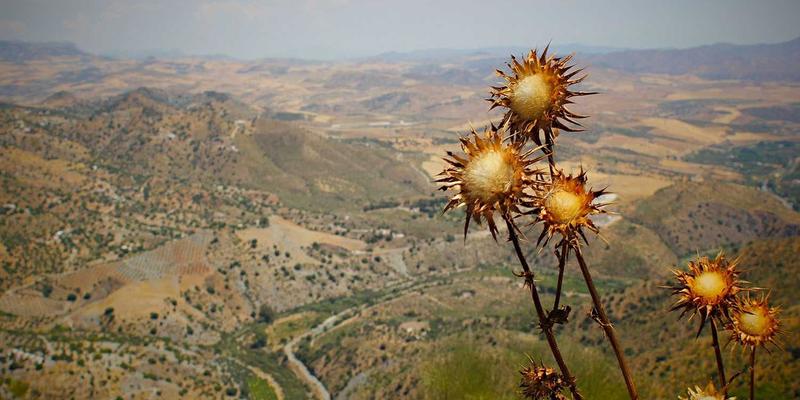 MD泵34:现代工业流体系统的可靠心脏 | 技术解析与应用指南