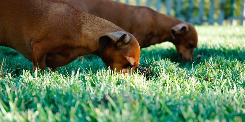 MD泵46：现代工业泵解决方案与流体系统优化的核心动力