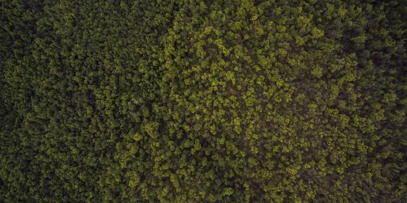 MD泵49:工业流体输送的高效解决方案与技术创新