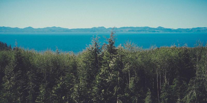 MD泵65:工业流体输送的核心力量与阀门协同应用解析