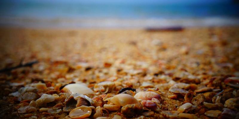 MD泵75深度解析：高效流体机械的核心选择与泵阀设备应用