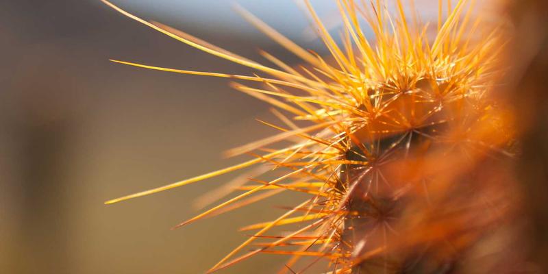 MD泵77：现代工业泵解决方案的核心，赋能高效流体机械系统