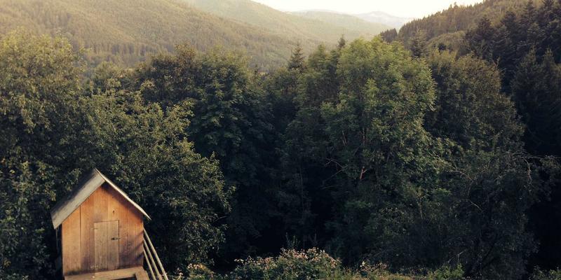 MD泵80：流体系统高效运行的核心动力与阀门协同优化策略