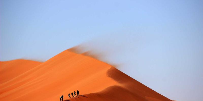 MD泵81：现代工业流体系统中的高效心脏