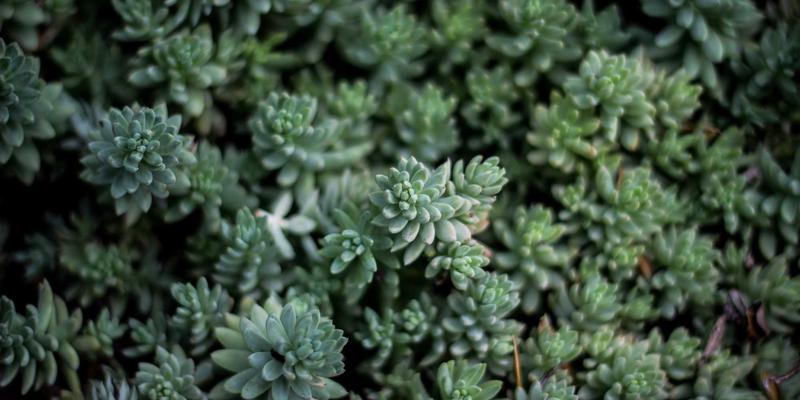 MD泵89：高效可靠的泵解决方案，赋能现代流体系统