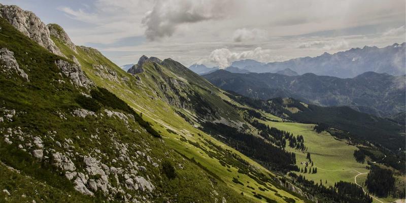 MD泵在市政给排水系统中的全生命周期成本分析与选型指南：流体机械的智慧投资