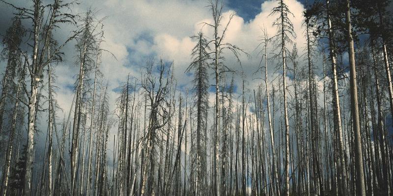MD泵在核电站辅助给水系统抗震分析：流体系统与阀门协同的关键考量