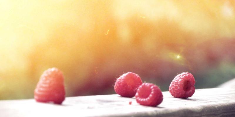 MD泵选型终极指南：如何根据流量、扬程与介质特性精准匹配工业泵阀设备