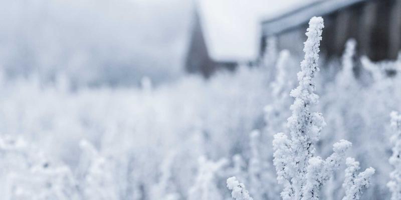 MD泵:高效可靠的流体机械泵解决方案详解