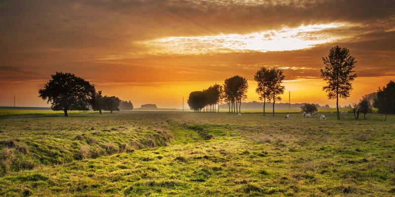 工业泵与流体机械智能化升级：MD泵机组远程监控与数据采集系统实施要点解析