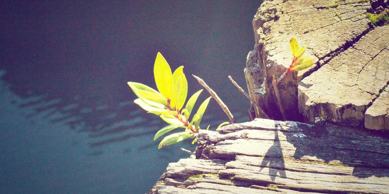 智能流体控制新篇章：基于变频调速技术的MD泵系统优化设计