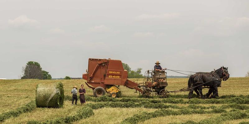 流体系统关键设备解析：MD泵在长距离输水工程中的水锤分析与防护设计