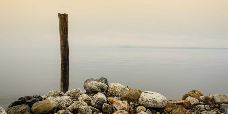 高温高压工况下MD泵密封系统选型与可靠性深度解析